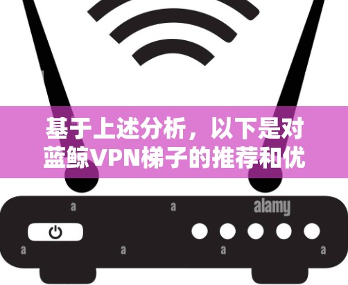 基于上述分析，以下是对蓝鲸VPN梯子的推荐和优化建议