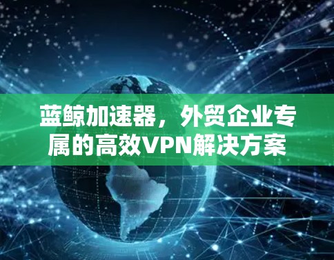 蓝鲸加速器，外贸企业专属的高效VPN解决方案