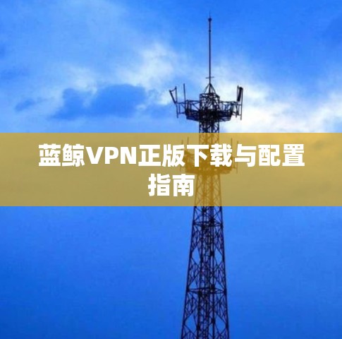 蓝鲸VPN正版下载与配置指南