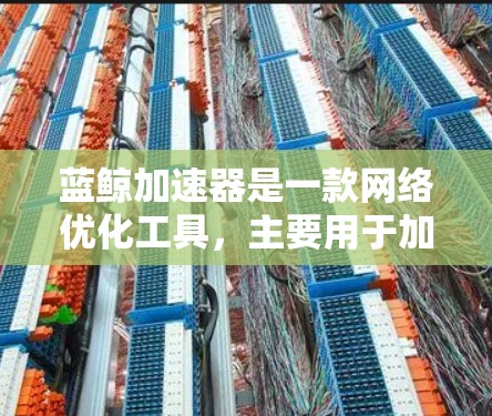 蓝鲸加速器是一款网络优化工具，主要用于加速网络连接，提升数据传输速度和稳定性。高速版通常是该工具的一种高级版本，提供更快的速度、更好的连接稳定性以及更多的功能